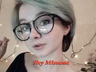 Shy_Mimosa