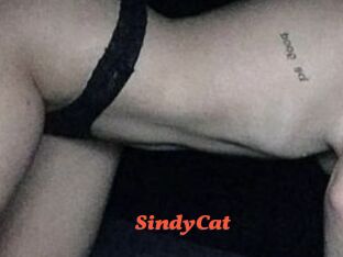 SindyCat