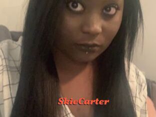 SkieCarter Livespot