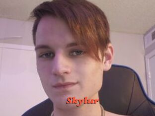 Skylur
