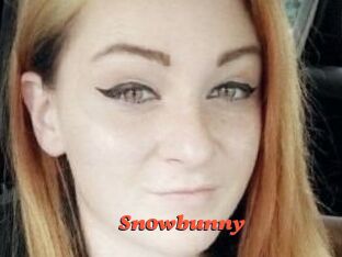 Sn0wbunny