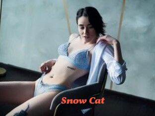 Snow_Cat