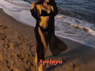 Spelaya