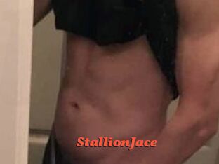 StallionJace