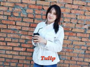 Tulip