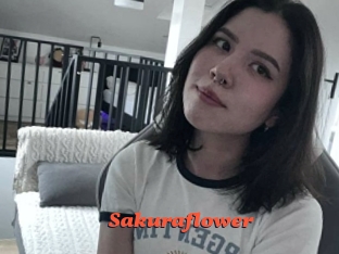 Sakuraflower
