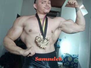 Samsulek