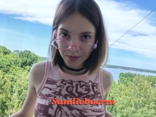 Sandieboerm