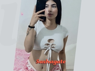 Sashagate