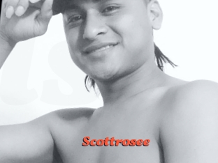 Scottrosee