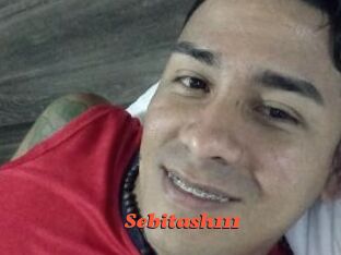Sebitash111