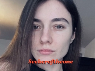Seekeroftheone