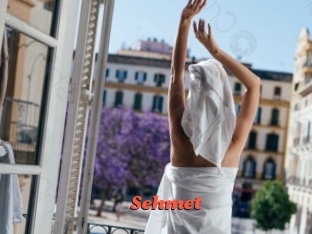 Sehmet