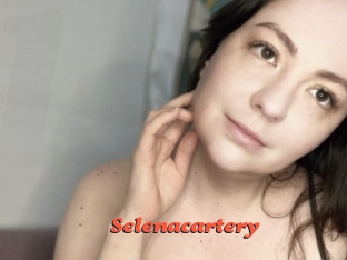 Selenacartery