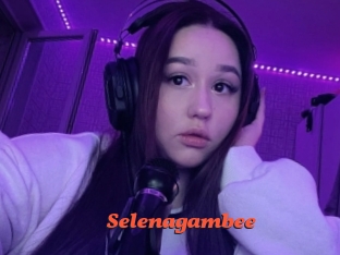 Selenagambee