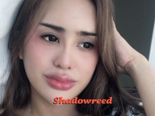 shadowreed Livespot