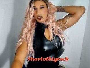 sharlotbigcock Livespot