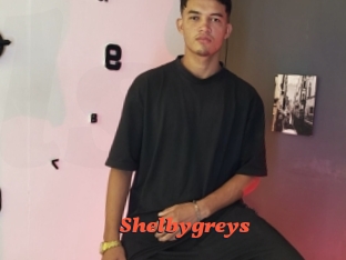Shelbygreys