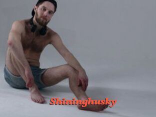 Shininghusky