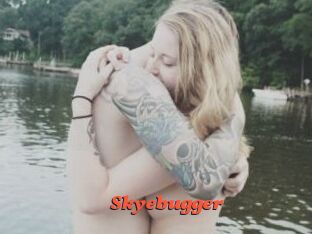 Skyebugger
