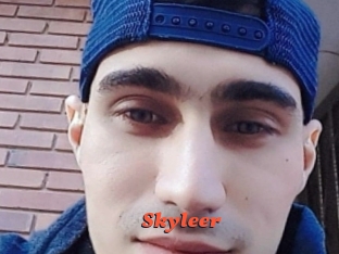 skyleer Livespot