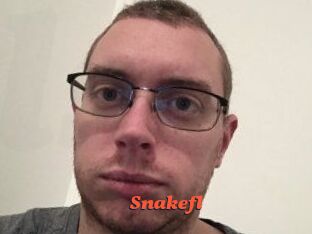 Snakefl