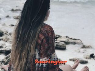 Soaringsar