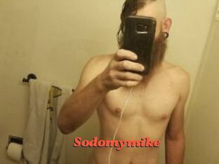 Sodomymike