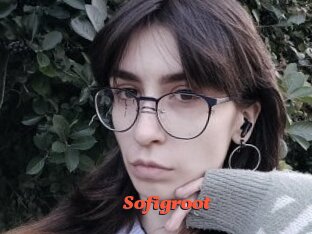 Sofigroot