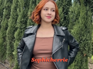 Sophicherrie
