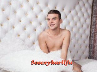 Sosexykarllfu