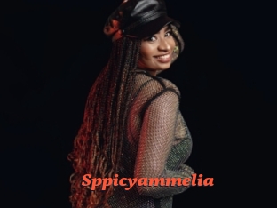 Sppicyammelia