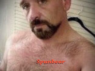 Spunbear