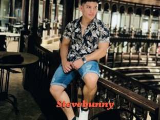 stevebunny Livespot