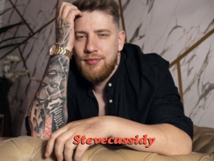 stevecassidy Livespot