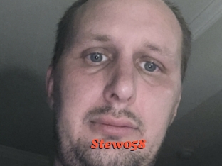Stew058