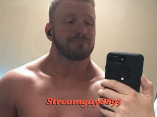 Streamguy8895