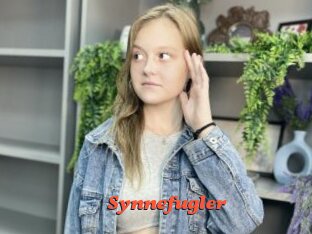 Synnefugler