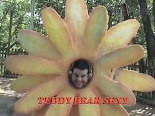 TEDDY_BEAR_SEXY
