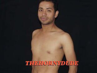 THEHORNYDUDE
