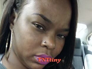 T_N_Ttiny