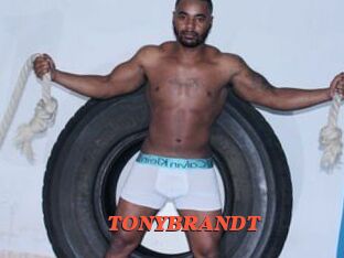 TONYBRANDT