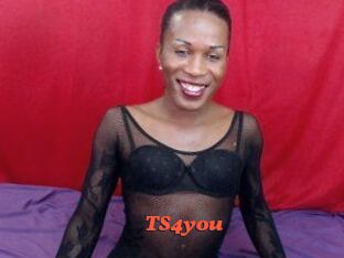 TS4you