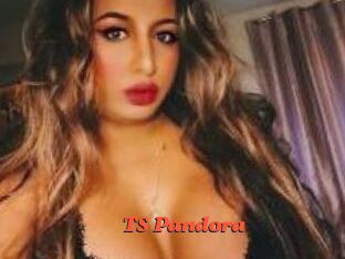 TS_Pandora