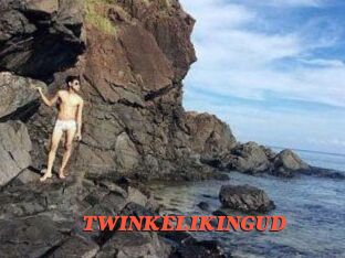 TWINKELIKINGUD