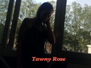 Tawny_Rose
