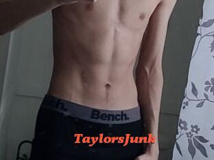 TaylorsJunk