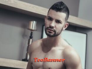 TeoBanner