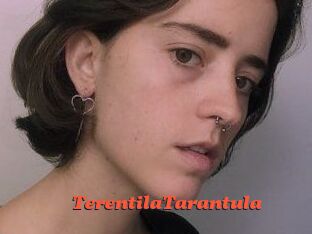 TerentilaTarantula