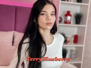 TerryBlueberry